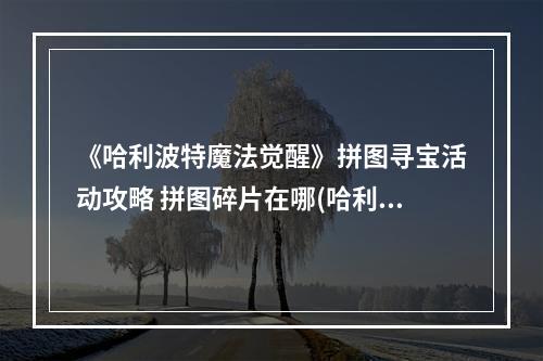 《哈利波特魔法觉醒》拼图寻宝活动攻略 拼图碎片在哪(哈利波特魔法觉醒拼图寻宝9.22碎片位置图文教程  )