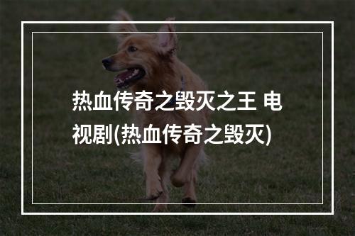 热血传奇之毁灭之王 电视剧(热血传奇之毁灭)