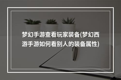 梦幻手游查看玩家装备(梦幻西游手游如何看别人的装备属性)