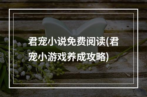 君宠小说免费阅读(君宠小游戏养成攻略)