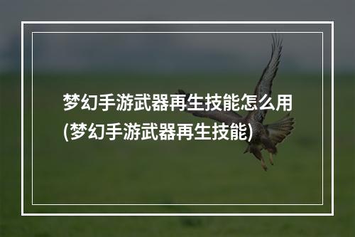 梦幻手游武器再生技能怎么用(梦幻手游武器再生技能)