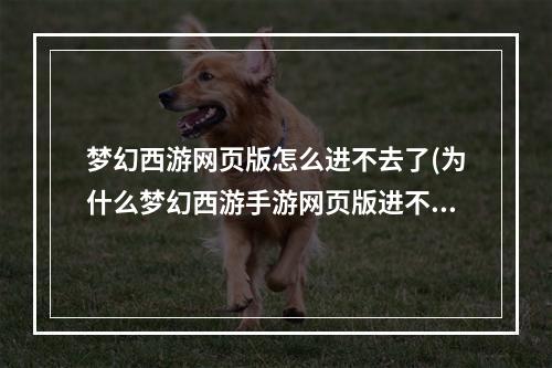 梦幻西游网页版怎么进不去了(为什么梦幻西游手游网页版进不去)