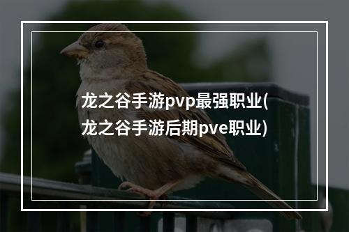 龙之谷手游pvp最强职业(龙之谷手游后期pve职业)