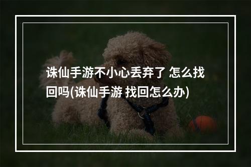 诛仙手游不小心丢弃了 怎么找回吗(诛仙手游 找回怎么办)