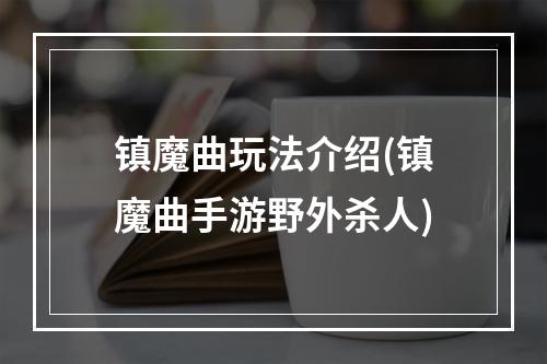 镇魔曲玩法介绍(镇魔曲手游野外杀人)