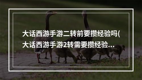 大话西游手游二转前要攒经验吗(大话西游手游2转需要攒经验吗)