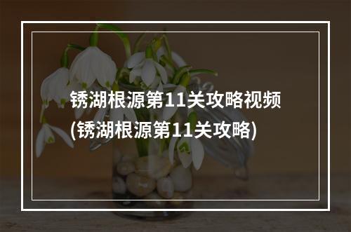 锈湖根源第11关攻略视频(锈湖根源第11关攻略)