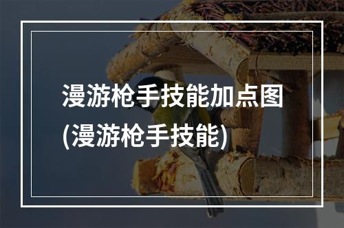 漫游枪手技能加点图(漫游枪手技能)