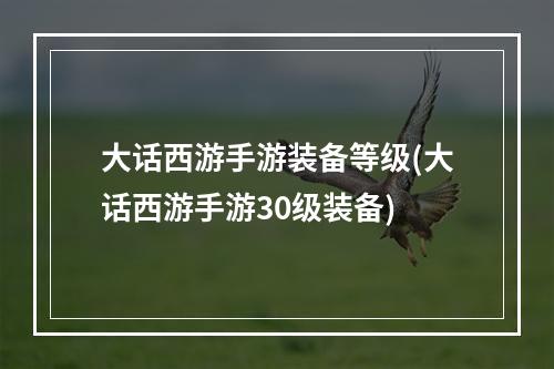 大话西游手游装备等级(大话西游手游30级装备)