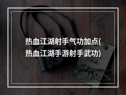 热血江湖射手气功加点(热血江湖手游射手武功)