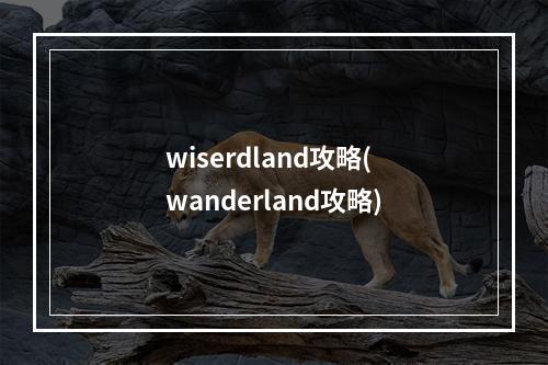 wiserdland攻略(wanderland攻略)