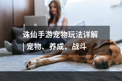 诛仙手游宠物玩法详解 | 宠物、养成、战斗