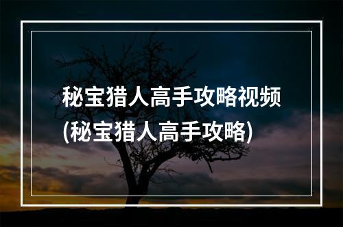 秘宝猎人高手攻略视频(秘宝猎人高手攻略)