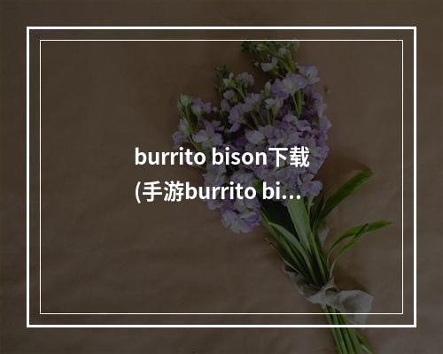 burrito bison下载(手游burrito bison攻略)