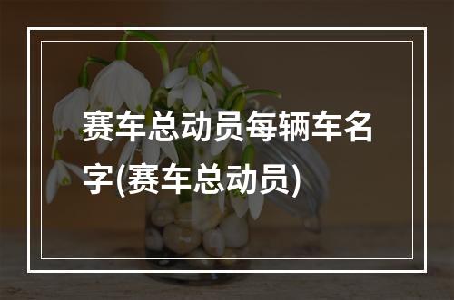 赛车总动员每辆车名字(赛车总动员)