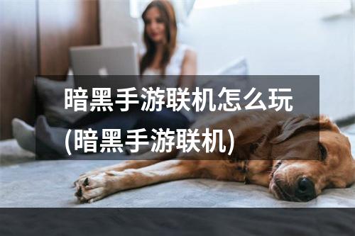 暗黑手游联机怎么玩(暗黑手游联机)