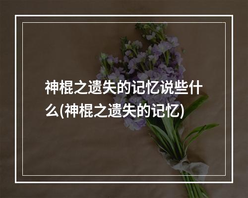 神棍之遗失的记忆说些什么(神棍之遗失的记忆)