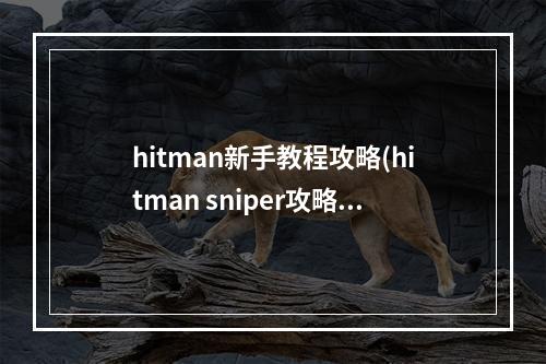 hitman新手教程攻略(hitman sniper攻略)