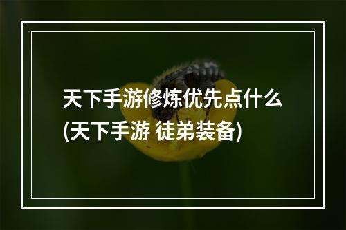 天下手游修炼优先点什么(天下手游 徒弟装备)