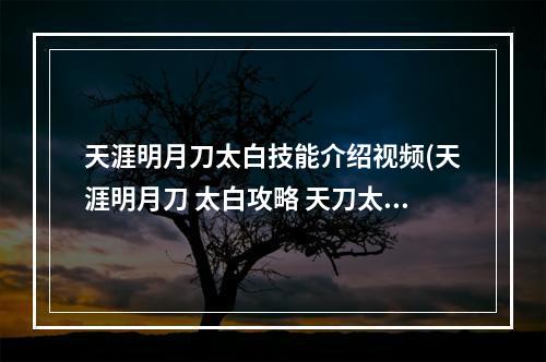 天涯明月刀太白技能介绍视频(天涯明月刀 太白攻略 天刀太白pvp)