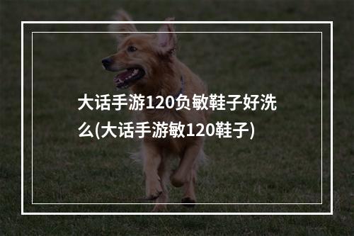 大话手游120负敏鞋子好洗么(大话手游敏120鞋子)