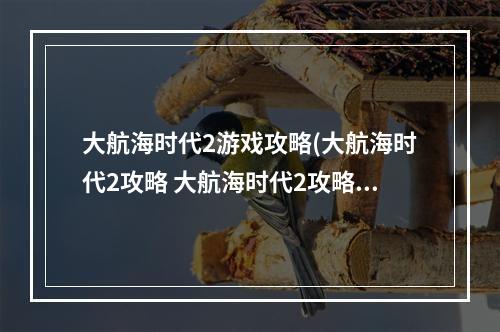 大航海时代2游戏攻略(大航海时代2攻略 大航海时代2攻略秘籍)