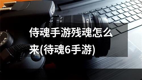 侍魂手游残魂怎么来(待魂6手游)