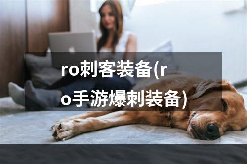 ro刺客装备(ro手游爆刺装备)