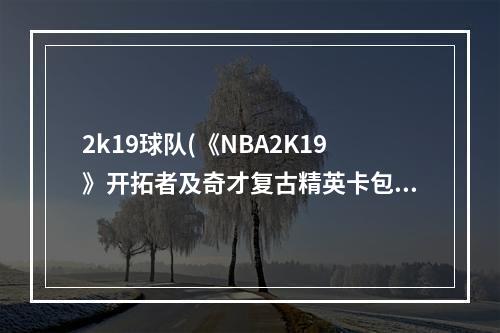 2k19球队(《NBA2K19》开拓者及奇才复古精英卡包评测 特里波特)