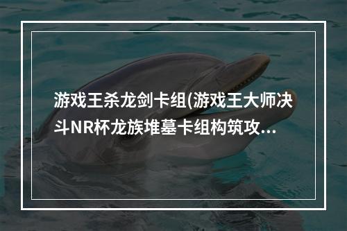 游戏王杀龙剑卡组(游戏王大师决斗NR杯龙族堆墓卡组构筑攻略 )