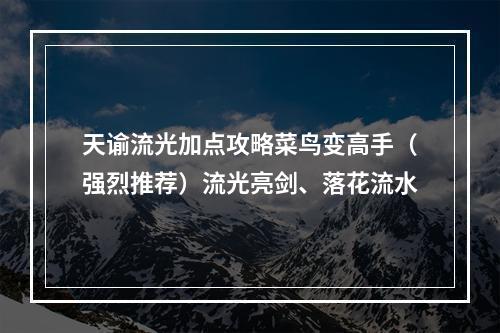 天谕流光加点攻略菜鸟变高手（强烈推荐）流光亮剑、落花流水