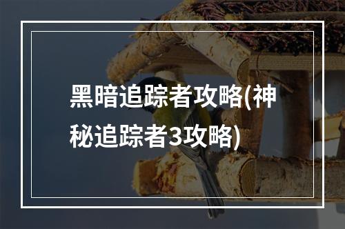 黑暗追踪者攻略(神秘追踪者3攻略)