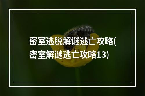 密室逃脱解谜逃亡攻略(密室解谜逃亡攻略13)