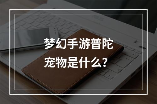 梦幻手游普陀宠物是什么？