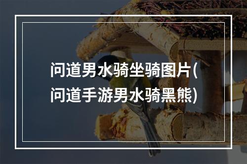 问道男水骑坐骑图片(问道手游男水骑黑熊)