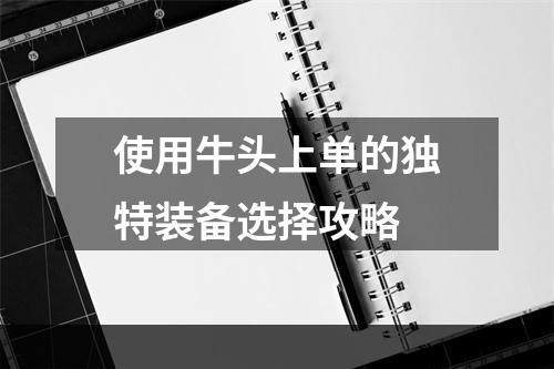 使用牛头上单的独特装备选择攻略