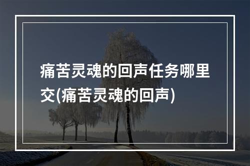 痛苦灵魂的回声任务哪里交(痛苦灵魂的回声)