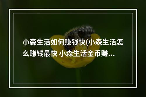 小森生活如何赚钱快(小森生活怎么赚钱最快 小森生活金币赚取攻略)