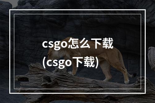 csgo怎么下载(csgo下载)