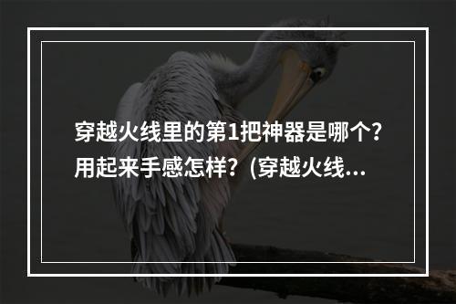 穿越火线里的第1把神器是哪个？用起来手感怎样？(穿越火线武器)