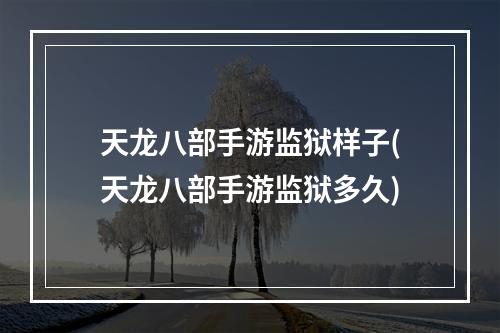 天龙八部手游监狱样子(天龙八部手游监狱多久)