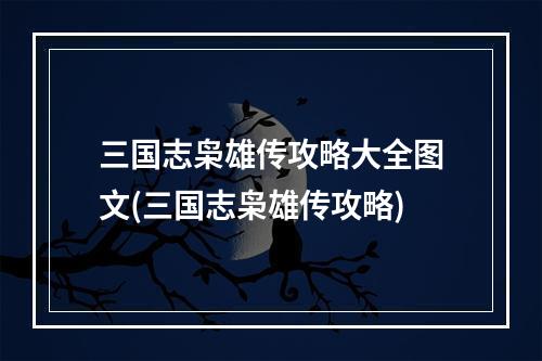 三国志枭雄传攻略大全图文(三国志枭雄传攻略)