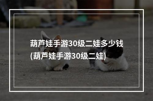 葫芦娃手游30级二娃多少钱(葫芦娃手游30级二娃)