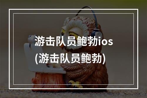 游击队员鲍勃ios(游击队员鲍勃)