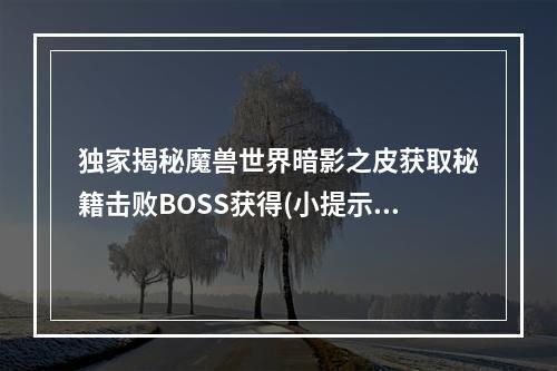 独家揭秘魔兽世界暗影之皮获取秘籍击败BOSS获得(小提示副本难度越高，掉落率越高哦)