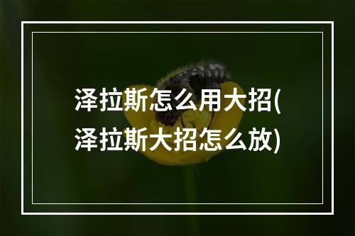 泽拉斯怎么用大招(泽拉斯大招怎么放)