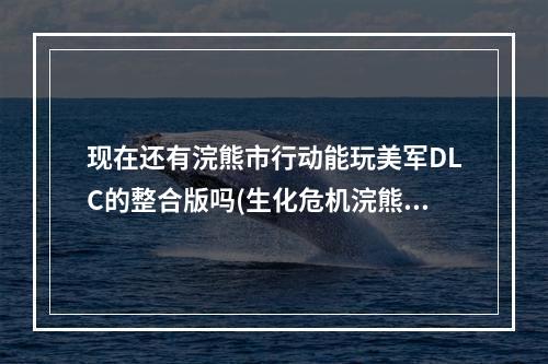 现在还有浣熊市行动能玩美军DLC的整合版吗(生化危机浣熊市行动下载)