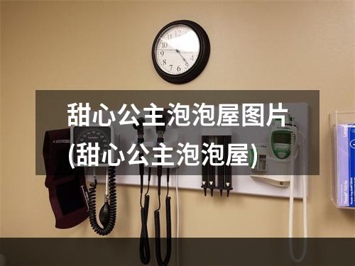 甜心公主泡泡屋图片(甜心公主泡泡屋)