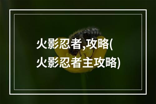 火影忍者,攻略(火影忍者主攻略)