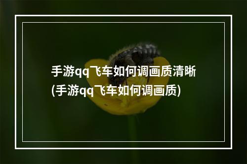 手游qq飞车如何调画质清晰(手游qq飞车如何调画质)